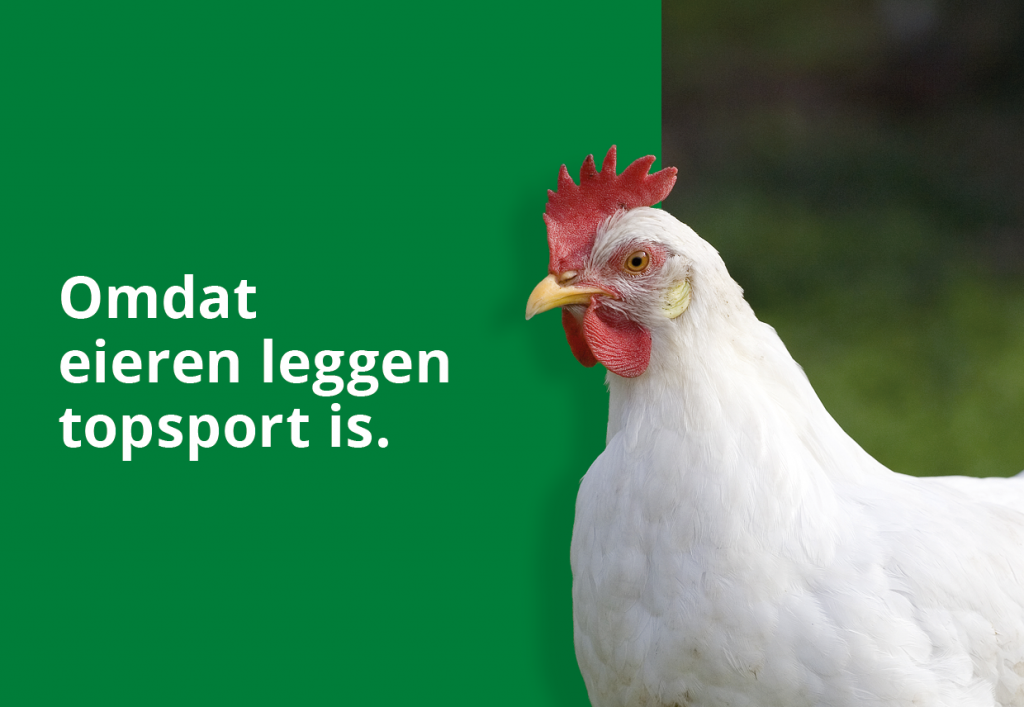 Dutch Poultry Expobeurs te Hardenberg